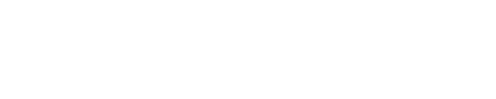 prodigy_ventures_llc